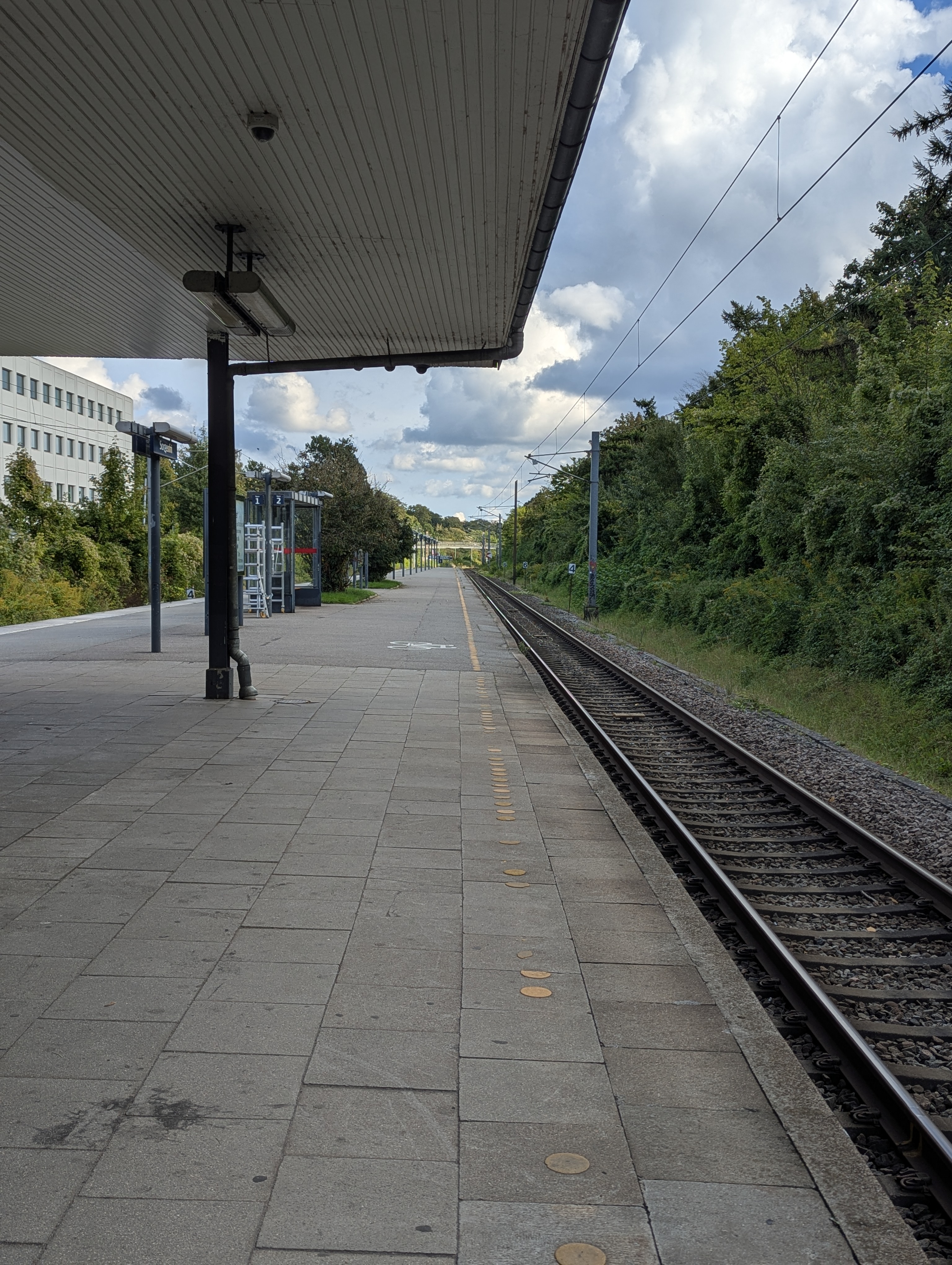 Lyngby, Copenhagen, Barn Party, Denmark